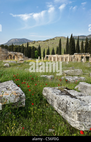 Gate e strade colonnate di necropoli, Hierapolis-Pamukkale, Turchia Foto Stock