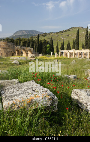 Gate e strade colonnate di necropoli, Hierapolis-Pamukkale, Turchia Foto Stock