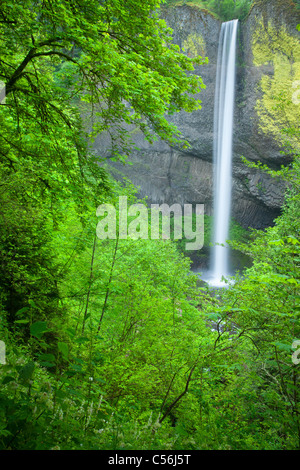 Latourell Falls, Guy W. Talbot parco statale, Columbia River Gorge National Scenic Area, Oregon Foto Stock