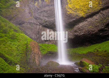 Latourell Falls, Guy W. Talbot parco statale, Columbia River Gorge National Scenic Area, Oregon Foto Stock