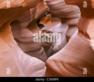 Canyon slot in arenaria rossa. Lower Antelope Canyon soprannominato il "Corkscrew", Navajo Land, Coconino County, Arizona, USA. Foto Stock