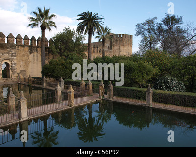 Parte di un alcuni vecchi ruderi accanto alla Mezquita di Cordova, Spagna. Foto Stock