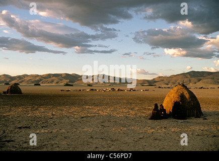 Capanne di fango e gli allevamenti di caprini e bovini del popolo Himba in Kaokoland Namibia settentrionale Foto Stock