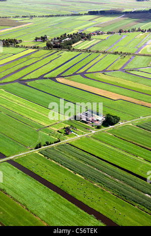 Nei Paesi Bassi, vicino a Purmerend, Antenna di paesaggi dei polder e fattorie. Foto Stock