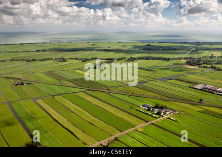 Nei Paesi Bassi, vicino a Purmerend, Antenna di paesaggi dei polder e fattorie. Foto Stock