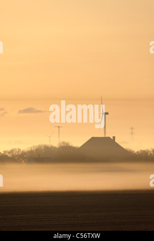 I Paesi Bassi, Callantsoog, Fattoria nella nebbia di mattina. Foto Stock