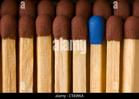 Extreme close-up di marrone con punta di fiammiferi di sicurezza con uno blu-match con punta in piedi fuori. Foto Stock