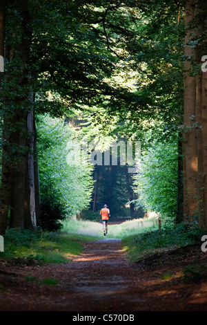 I Paesi Bassi, 's-Graveland, foresta di faggio road. Tenuta rurale chiamato Gooilust. Uomo in esecuzione. Foto Stock