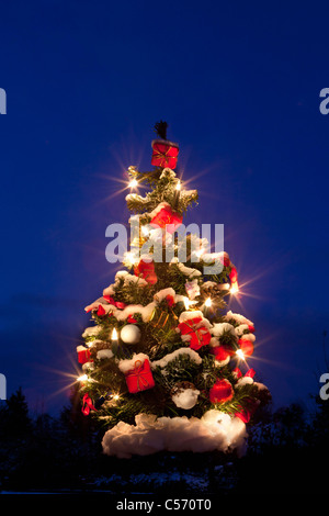 I Paesi Bassi, 's-Graveland, alberi di Natale con le luci nella neve. Crepuscolo. Foto Stock