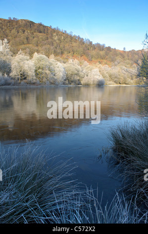 Ancora un gelido mattina di gennaio a Yew Tree Tarn nel distretto del lago, Cumbria Foto Stock