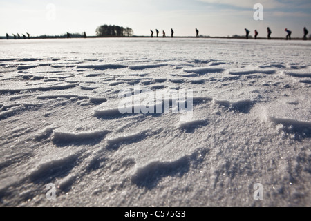 I Paesi Bassi, Blokzijl, inverno, persone il pattinaggio sul lago ghiacciato nel parco nazionale chiamato De Weerribben-Wieden. Foto Stock