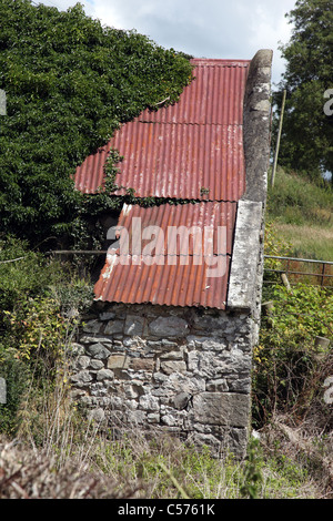 Ferro corrugato tetto, byre irlandese, Co. Monaghan, Irlanda Foto Stock
