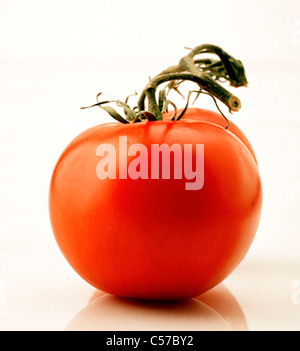 Vitigno rosso pomodoro, dietro lo sfondo bianco. Foto Stock