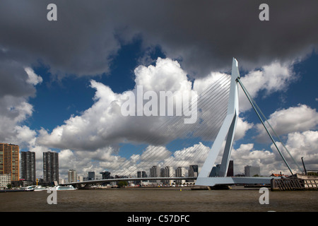 I Paesi Bassi, Rotterdam, ponte denominato Erasmusbrug, chiamato fiume Nieuwe Maas. Foto Stock