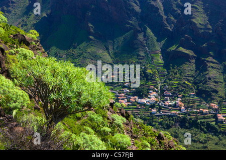 La Valle Grana Rey, Spagna, Europa, Isole Canarie, Isole La Gomera, isola, isola, valley, case, case, campi, terrazza cultivati Foto Stock