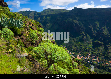 La Valle Grana Rey, Spagna, Europa, Isole Canarie, Isole La Gomera, isola, isola, valley, case, case, campi, terrazza cultivati Foto Stock