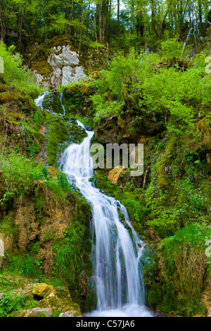 Le Theusseret, Svizzera, Europa, Canton Giura, Brook, cascata, rock, Cliff, moss Foto Stock