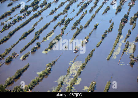 I Paesi Bassi, Breukelen, Dugged fuori terra nella palude. Sport acquatici. Alloggiamento case vacanze. Antenna. Foto Stock