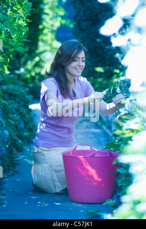 La donna la potatura di piante in giardino Foto Stock