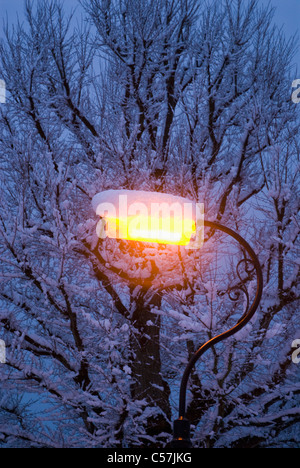 Neve sul lampione di notte Foto Stock