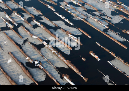 I Paesi Bassi, Breukelen, Dugged fuori terra nella palude. Ora serve sport acquatici. alloggiamento case vacanze. Antenna. Inverno, ghiaccio. Foto Stock