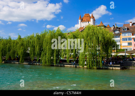 Thun, Svizzera, Europa, Canton Berna, paese, città, case, case, castello, bloccare, fiume, flusso, Aare, alberi, pascoli, salici, Foto Stock