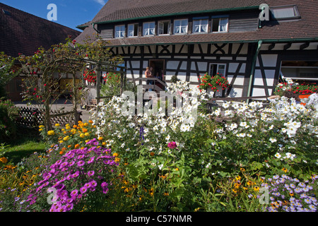 Bauernhaus und Bauerngarten, Blumengarten a Sasbachwalden, agricoltore casa e giardino fiorito Foto Stock