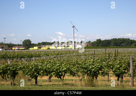 Pillitteri estates winery niagara wine country niagara sul lago Ontario in Canada con vino di ghiaccio il mulino a vento di produzione Foto Stock