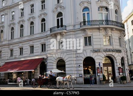 Carrello Fiaker davanti al Cafe Griensteidl, piazza Michaelerplatz, Vienna, Austria, Europa, giugno 2011 Foto Stock