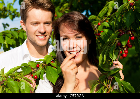 Coppia felice di mangiare le ciliegie in estate in un giardino Foto Stock