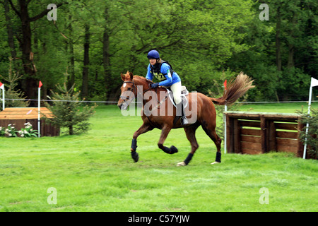 Cavallo e cavaliere a cavallo prove Arley Hall 2008 Foto Stock