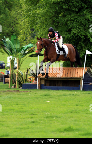 Cavallo e cavaliere a cavallo prove Arley Hall 2008 Foto Stock