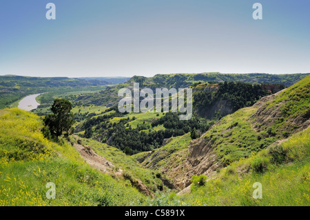 Formazioni di terra nel Parco nazionale Theodore Roosevelt, il Dakota del Nord, Stati Uniti d'America. Foto Stock