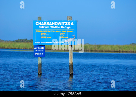 Segno, Chassahowitzka, National Wildlife Refuge, Golfo, mare, Messico, vicino a Spring Hill, Florida, Stati Uniti d'America, Stati Uniti, America, acqua Foto Stock