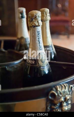 Le bottiglie di champagne in wine cooler Foto Stock