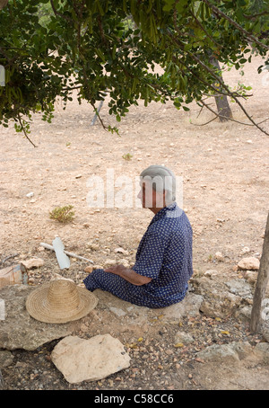 Autentica tradizionale catalana custode di capra/herder che un riposo sotto un albero in sant Agnese , San Antonio, Ibiza Foto Stock