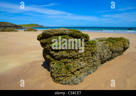 Sango Bay, Gran Bretagna, Scozia, Europa costa, delle maree, bassa, riflusso della marea, spiaggia, mare, rock, Cliff, cozze, alghe Foto Stock