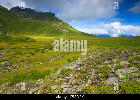 L'Ar du Tsan, Svizzera, Europa, canton Vallese, Vallon de Réchy, riserva naturale Val d'Hérens, altopiano, Brook, meandro, mountai Foto Stock