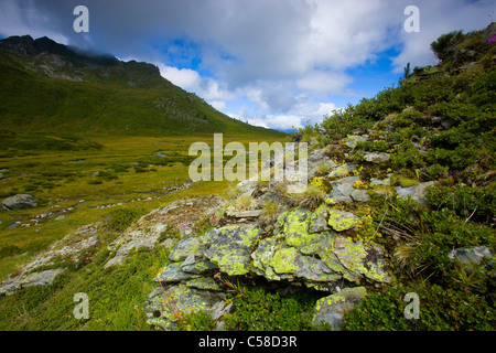 L'Ar du Tsan, Svizzera, Europa, canton Vallese, Vallon de Réchy, riserva naturale Val d'Hérens, altopiano, Brook, meandro, mountai Foto Stock