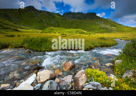 L'Ar du Tsan, Svizzera, Europa, canton Vallese, Vallon de Réchy, riserva naturale Val d'Hérens, altopiano, Brook, montagna e nuvole Foto Stock