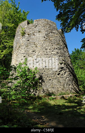 Germania, Bassa Sassonia, Bad Driburg, Torre Rook, Rovine Iburg, rovine, castello, alberi, piante, parete, luogo di interesse, torri, roo Foto Stock