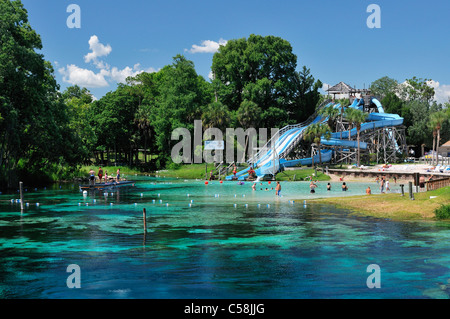 Weeki Wachee, molla, acqua park, Weeki Wachee Springs, Parco Statale, acqua, Florida, Stati Uniti d'America, Stati Uniti, America, visitatori turi Foto Stock