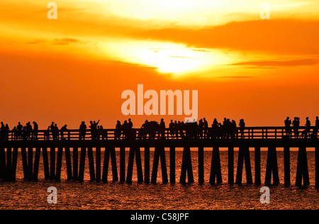 Sunset, Napoli Molo, Golfo del Messico, Naples, Florida, Stati Uniti d'America, Stati Uniti, America, pier, mare, acqua, persone spettatori Foto Stock