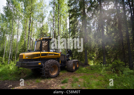 Ponsse Ergo Trincia forestale nel bosco , Finlandia Foto Stock