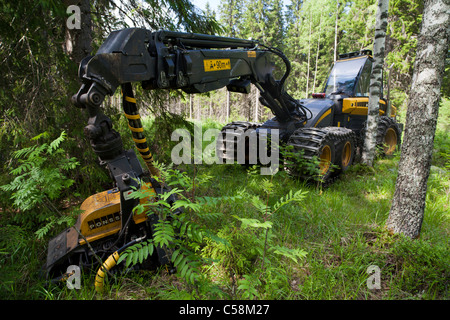 Ponsse Ergo Trincia forestale nel bosco , Finlandia Foto Stock