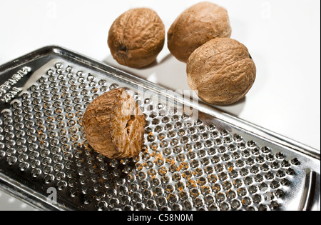 Noce moscata con una grattugia (Myristica fragrans) Foto Stock