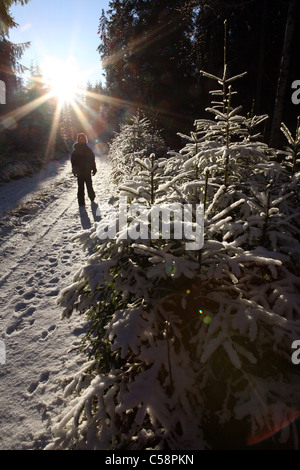 Un bambino che corre lungo una coperta di neve pista forestale Foto Stock