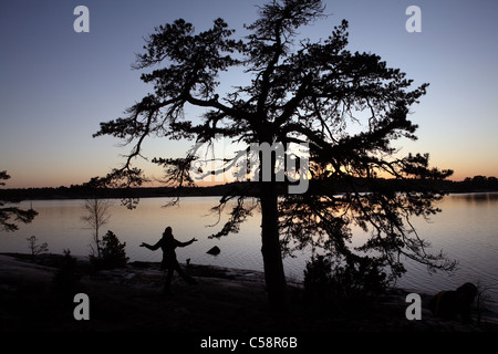 Silhouette di un pino in un lago di sera Foto Stock