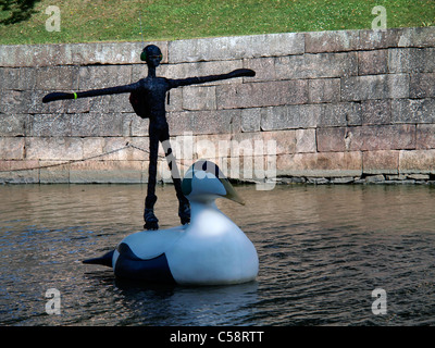 Eiders gigante sul fiume Aura Foto Stock