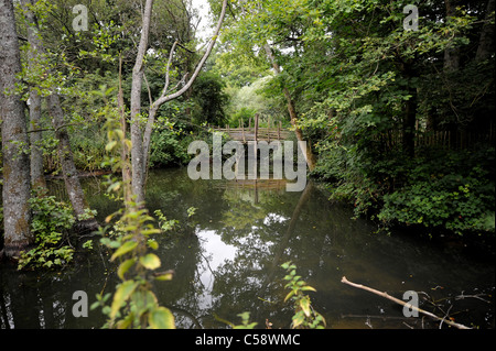 Blackberry Farm campeggio in Streat vicino Ditchling Sussex dove il proprietario Tim Johnson noleggia vari stili di roulotte Foto Stock